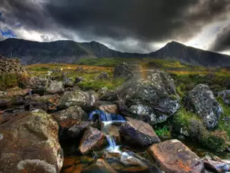 Rock field