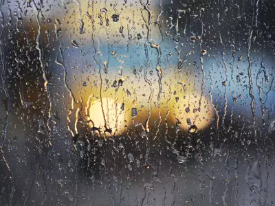 Rainy Window