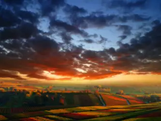 Meadow