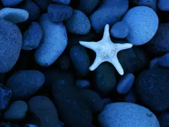 Rocks and Star