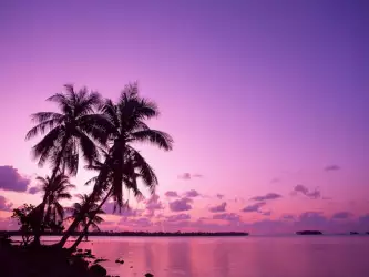 Nature Ocean with Pink Sunset