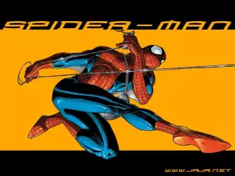 Spiderman 035