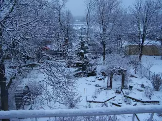 Winter And Snow Scenes