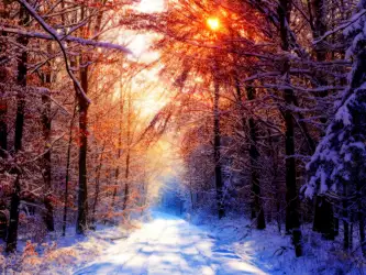 Winter And Snow Scenes
