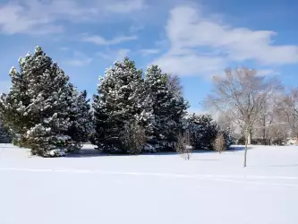 Winter And Snow Scenes