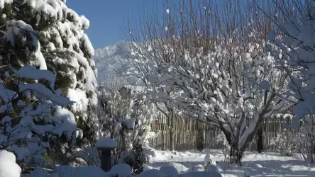 Winter And Snow Scenes