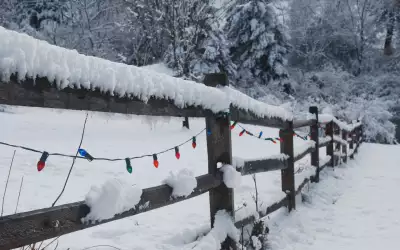 Winter Snow Nature021