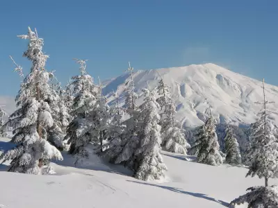 Winter Snow Nature030