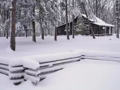 Winter Snow Nature097