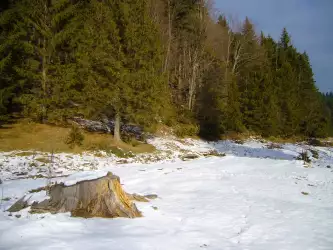 Winter And Snow Scenes