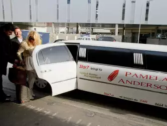 Pamela Anderson At Vienna Airport