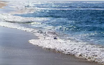 Sun And Sea