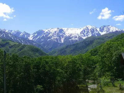 Summer And Nature Scenery