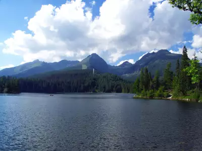Summer And Nature Scenery