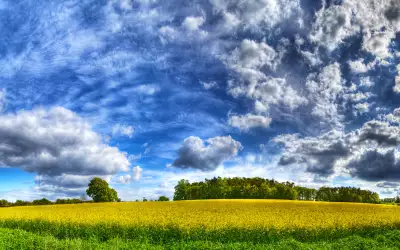 Nature And Summer Time