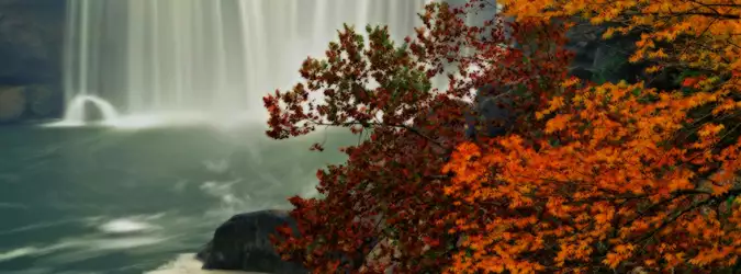 Autumn Nature Facebook Covers