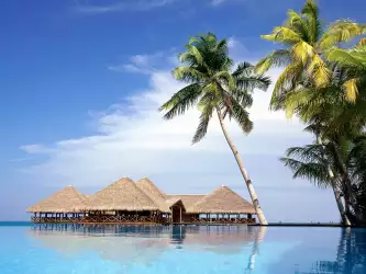 Dream Island