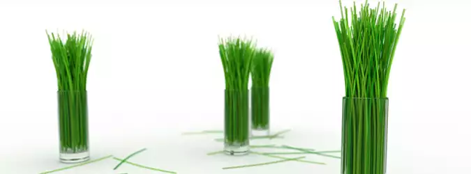 Grass Nature For Facebook Covers