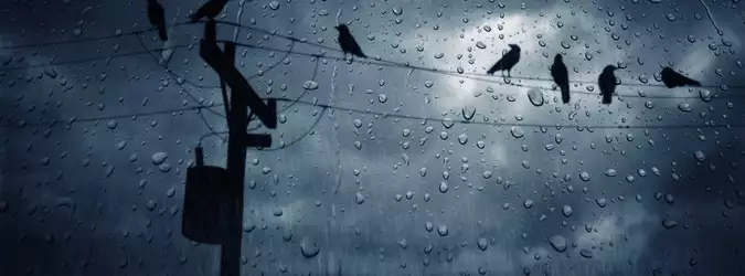 Rain Nature For Facebook Covers