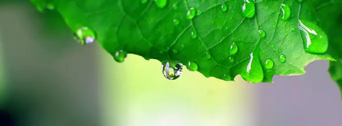 Rain Nature For Facebook Covers