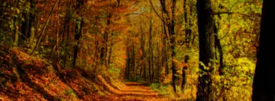 Autumn Nature Facebook Covers
