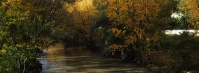 Autumn Nature Facebook Covers