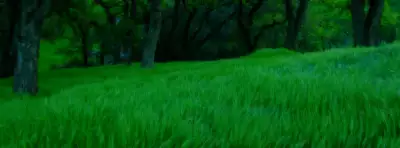 Grass Nature For Facebook Covers