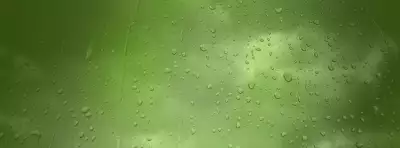 Rain Nature For Facebook Covers