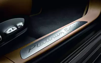 Porsche Panamera Platinum Edition3