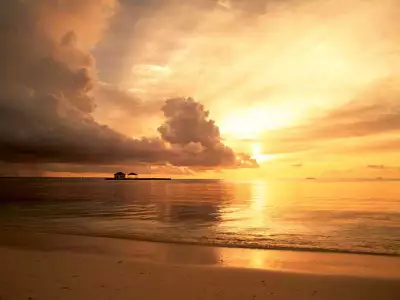 Beach Sunsets