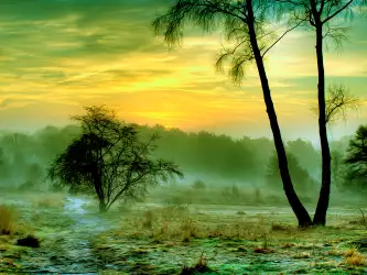Winter Nature Snow Scene