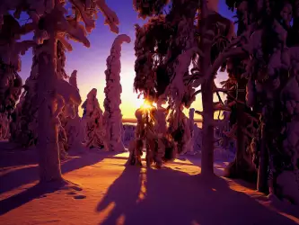 Winter Nature Snow Scene