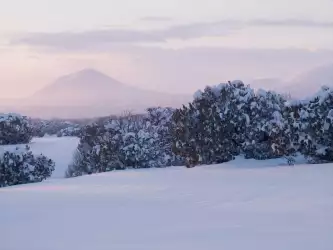 Winter Nature Snow Scene