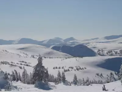 Winter Nature Snow Scene