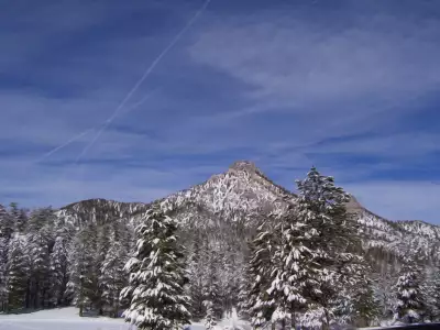 Winter Nature Snow Scene