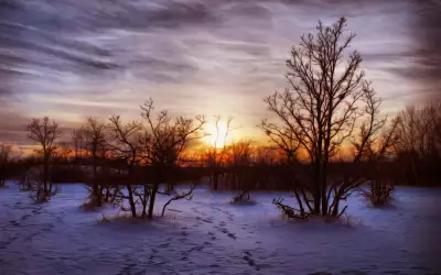 Winter Nature Snow Scene