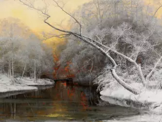 Winter Nature Sunset