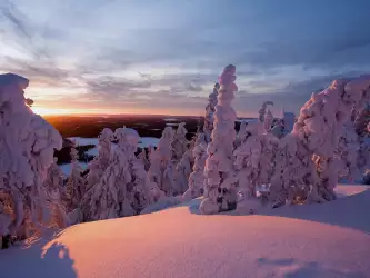 Winter Nature Sunset