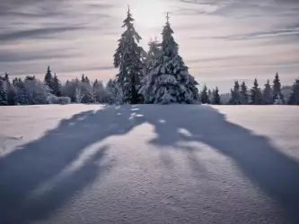 Winter Nature Sunset