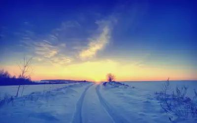 Winter Nature Sunset