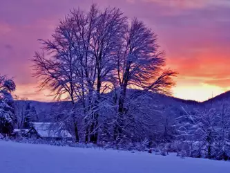 Winter Nature Sunset