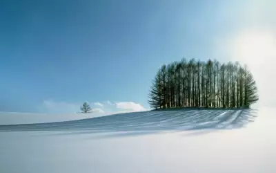 Winter Nature Snow Scene