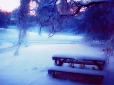 Winter Nature Snow Scene