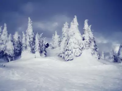 Winter Nature Snow Scene