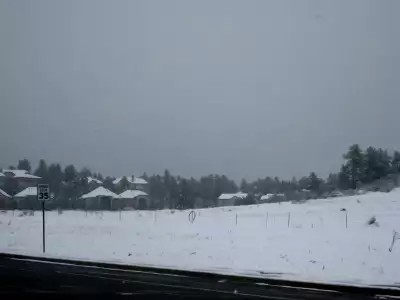 Winter Nature Snowing
