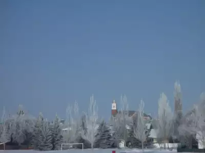 Winter Nature Snowing