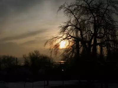 Winter Nature Sunset