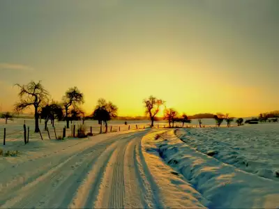 Winter Nature Sunset
