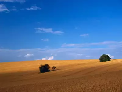 94