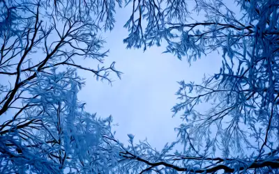 Winter Snow